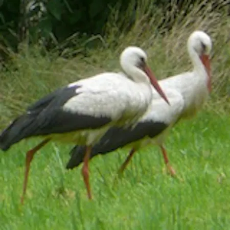 Otel Gut Zarrentin Gransebieth