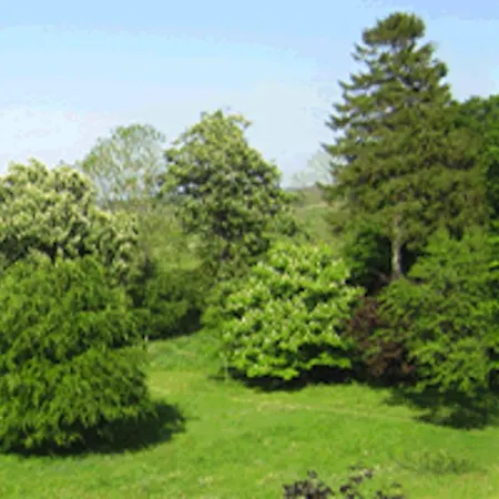 Otel Gut Zarrentin 3*